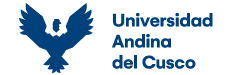 Universidad Andina del Cusco